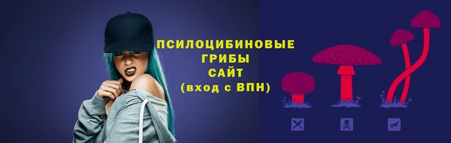 jwh Пестово