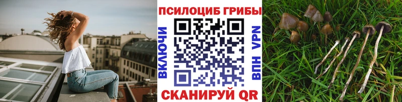 Галлюциногенные грибы Psilocybe  blacksprut зеркало  Усолье 